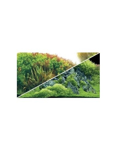 Poster Planted River/Green Rocks HOBBY - 1