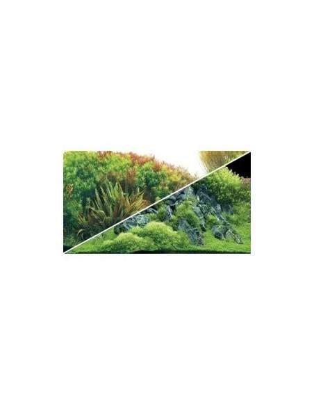 Poster Planted River/Green Rocks HOBBY - 1