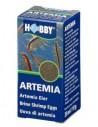 Artemia Eieren Hobby HOBBY - 1