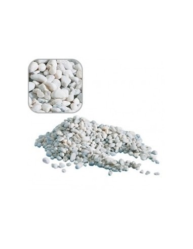Gravier Naturel Noa Blanc Gros 1kg AMTRA - 1