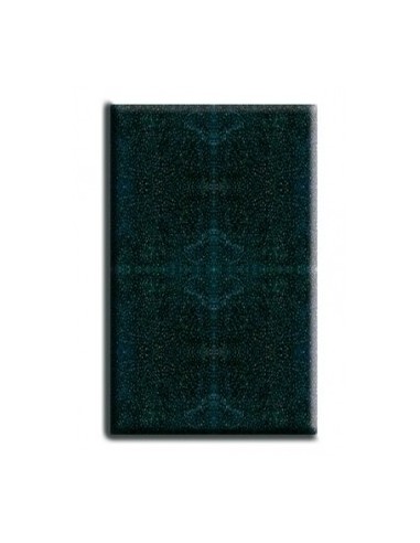 Cartouche Mousse filtre Niagara AMTRA - 1