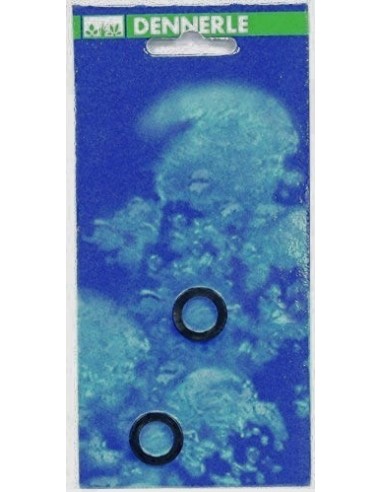 Joint pour détendeur rechargeable Space/Quantum/Primus Dennerle Dennerle - 1