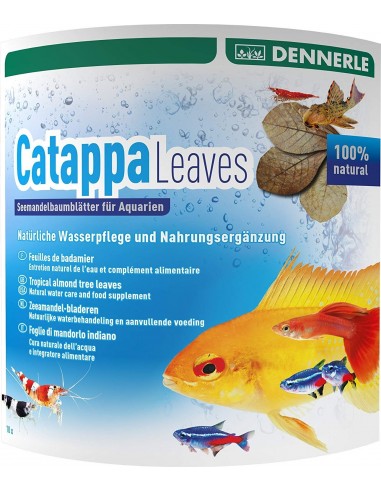 Catappa Leaves 10p Dennerle Dennerle - 1