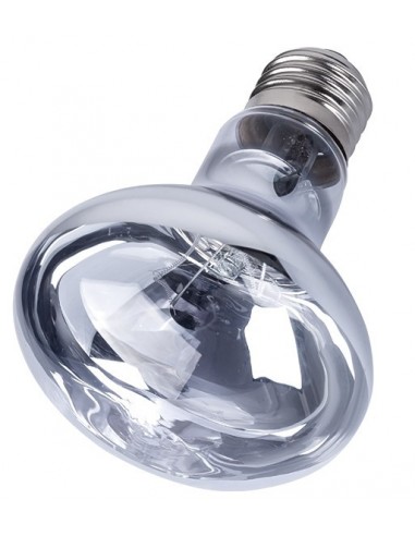 Neodium Daglicht 50w Reptizoo Lamp Reptizoo - 1