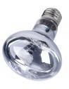 Neodium Daglicht Lamp 150w Reptizoo Reptizoo - 1