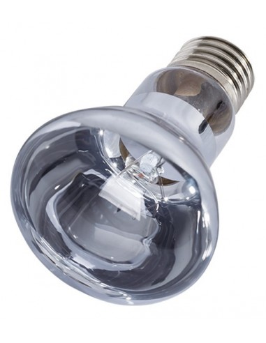Lampe Neodium Daylight 150w Reptizoo Reptizoo - 2