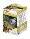 Lampe Neodium Daylight 150w Reptizoo Reptizoo - 3