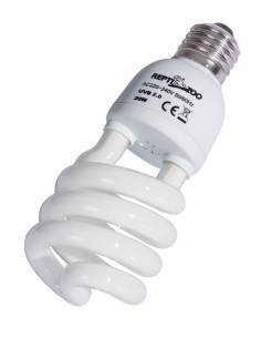 Daglicht Fluorescerende Lamp 26w Reptizoo Reptizoo - 1 2