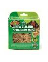 Nieuw-Zeeland Mos 1.31l ZOOMED - 1