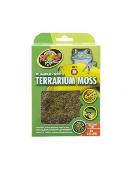 Terrarium Moss M 1.8l ZOOMED - 1
