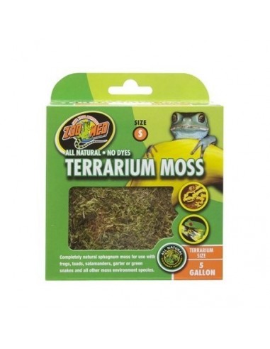 Terrarium Moss S 1.31l ZOOMED - 1