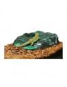 Repti Ramp Bowl L ZOOMED - 1