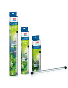 Novolux LED White JUWEL - 1