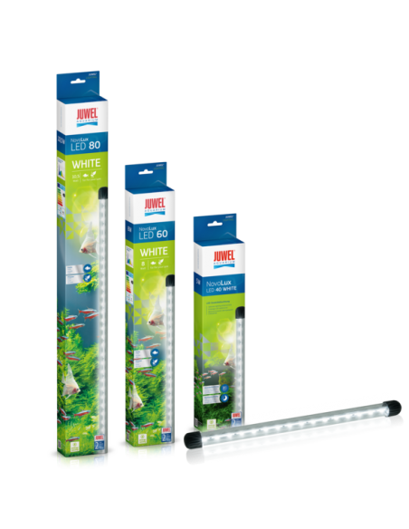 Novolux LED White JUWEL - 1
