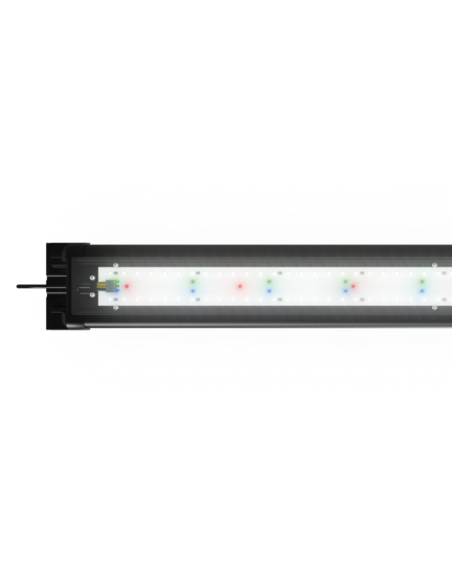 HeliaLux Spectrum Juwel JUWEL - 2
