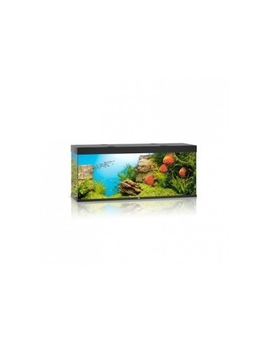 Aquarium Rio 450 LED (2x31w) Juwel JUWEL - 1