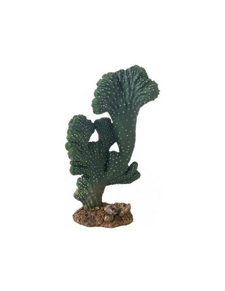 Cactus Victoria (2) 22cm Hobby HOBBY - 1