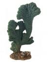 Cactus Victoria (2) 22cm Hobby HOBBY - 1