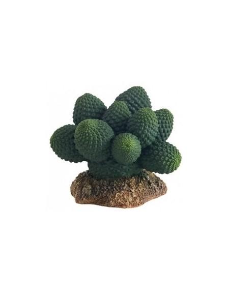 Cactus Atacamma 7cm Hobby HOBBY - 1