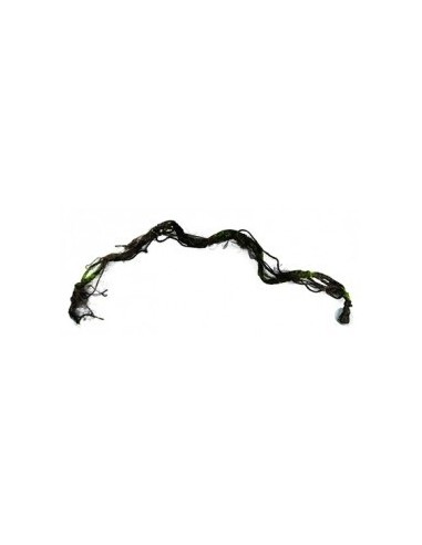 Liane L 100x9cm Hobby HOBBY - 1