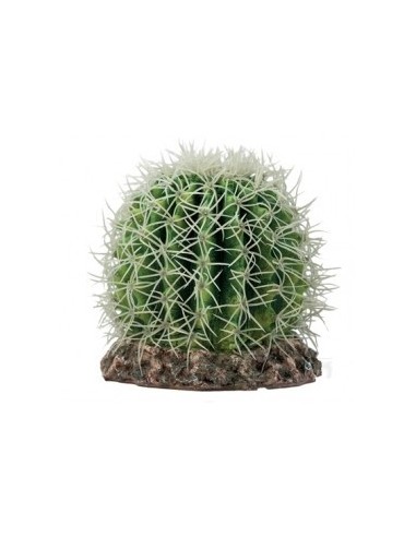 Cactus Sonora M 15x15x13cm Hobby HOBBY - 1