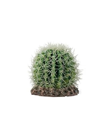 Cactus Sonora M 15x15x13cm Hobby HOBBY - 1