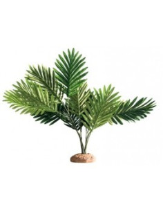 Palmboom 60x40x55cm Hobby HOBBY - 1