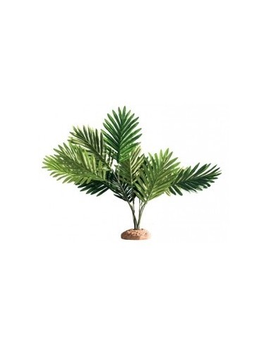 Palmier 60x40x55cm Hobby HOBBY - 1