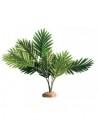 Palmboom 60x40x55cm Hobby HOBBY - 1