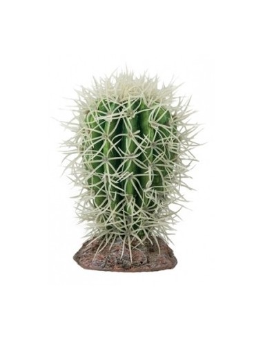 Cactus Great Basin 8x8x12.5cm Hobby HOBBY - 1