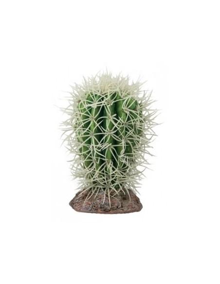 Cactus Great Basin 8x8x12.5cm Hobby HOBBY - 1