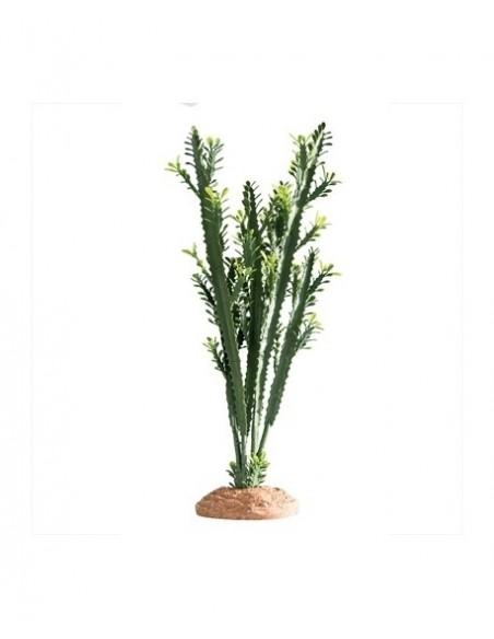 Euphorbia L 25x10x46cm Hobby HOBBY - 1