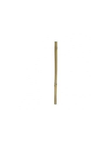 Bamboe Stix 50cm Dia.2-3cm Hobby HOBBY - 1