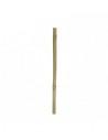 Bamboe Stix 50cm Dia.2-3cm Hobby HOBBY - 1