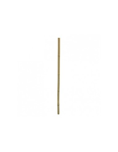 Bamboe Stix 100cm Dia.2-3cm Hobby HOBBY - 1