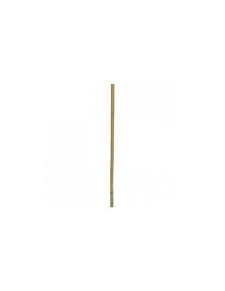 Bamboe Stix 100cm Dia.2-3cm Hobby HOBBY - 1