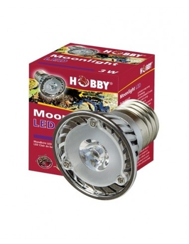 Moonlight LED Hobby HOBBY - 1