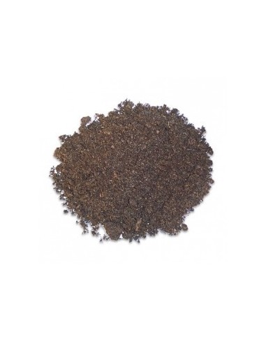 Terrano Terra HOBBY - 1