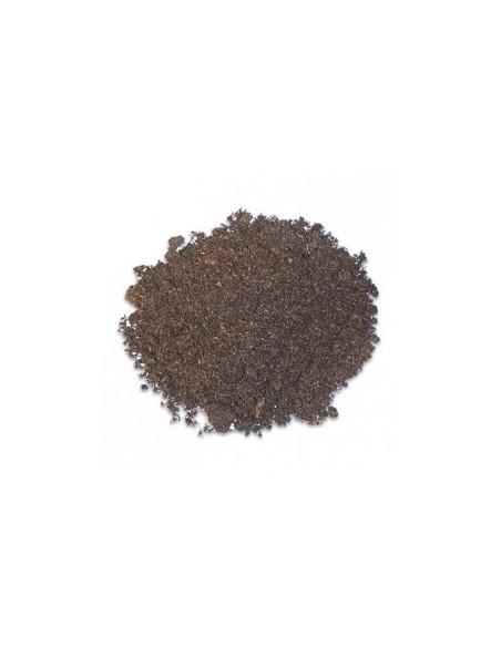Terrano Terra HOBBY - 1