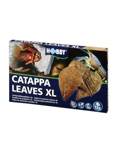 Catappa Leaves XL Hobby HOBBY - 1
