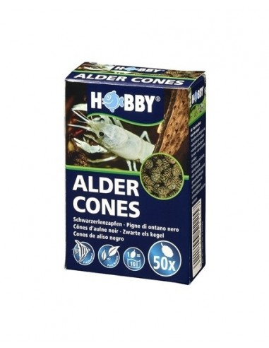 Alder Cones 50pc Hobby HOBBY - 1