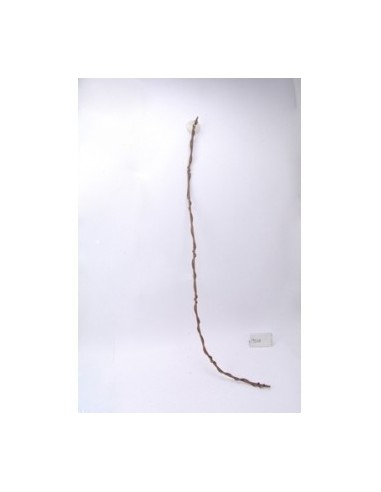 Vine 1200x10x10mm ZOOMED - 1