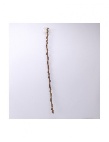 Vine 700x10x10mm ZOOMED - 1