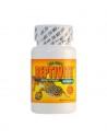 Reptivite zonder D3 57gr ZOOMED - 1