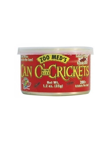 Can'O Cricket Mini 35g Zoomed ZOOMED - 1