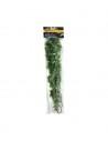 Plant Canabis L - Zoomed ZOOMED - 1