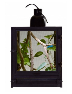 Nano Breeze (terrarium insecte) Zoomed ZOOMED - 1