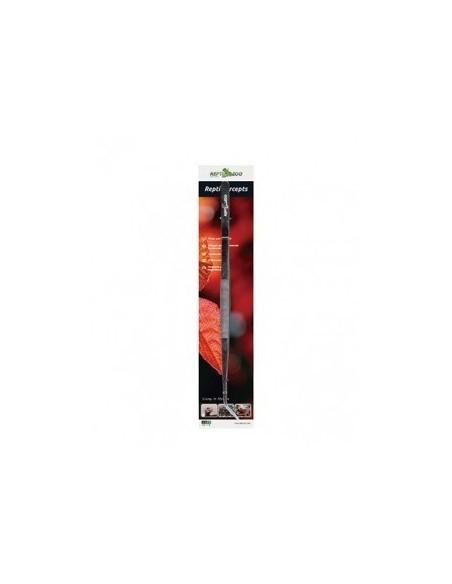 Pince inoxydable 25cm pour nourriture - Reptizoo Reptizoo - 1