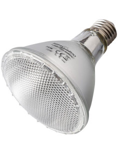 Reptizoo 50w Halogeen Vleklamp Reptizoo - 1
