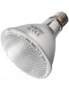 Reptizoo 50w Halogeen Vleklamp Reptizoo - 1